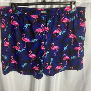 BRISIRA Mens Swim Trunks Bathing Suit 5 Inch Inseam Compression Liner Beach